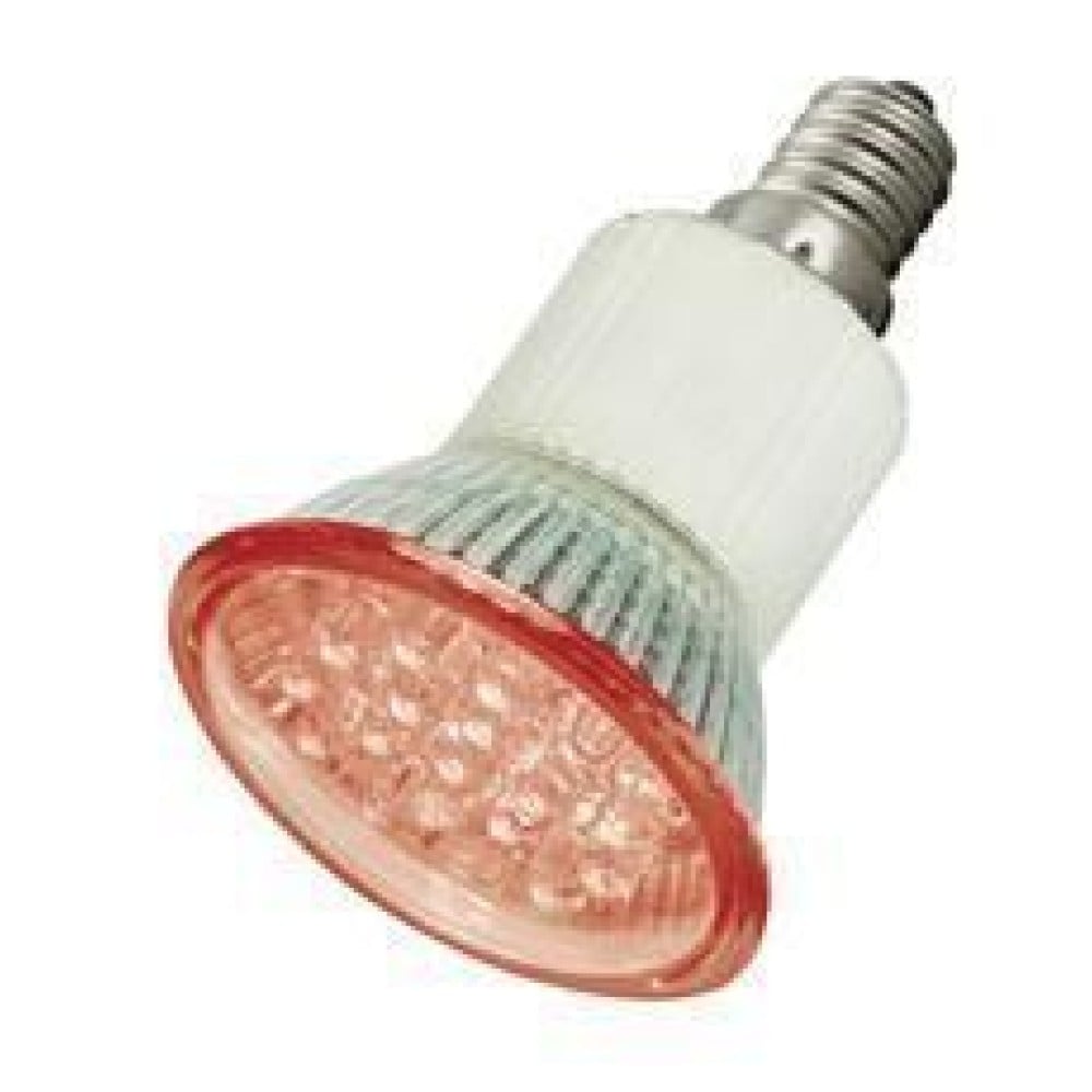 Lampada 24 LED E14  230Vac colore Rosso - OEM - I-HLED-E14RE-1